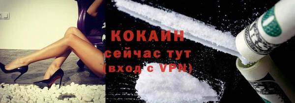 тгк Михайлов